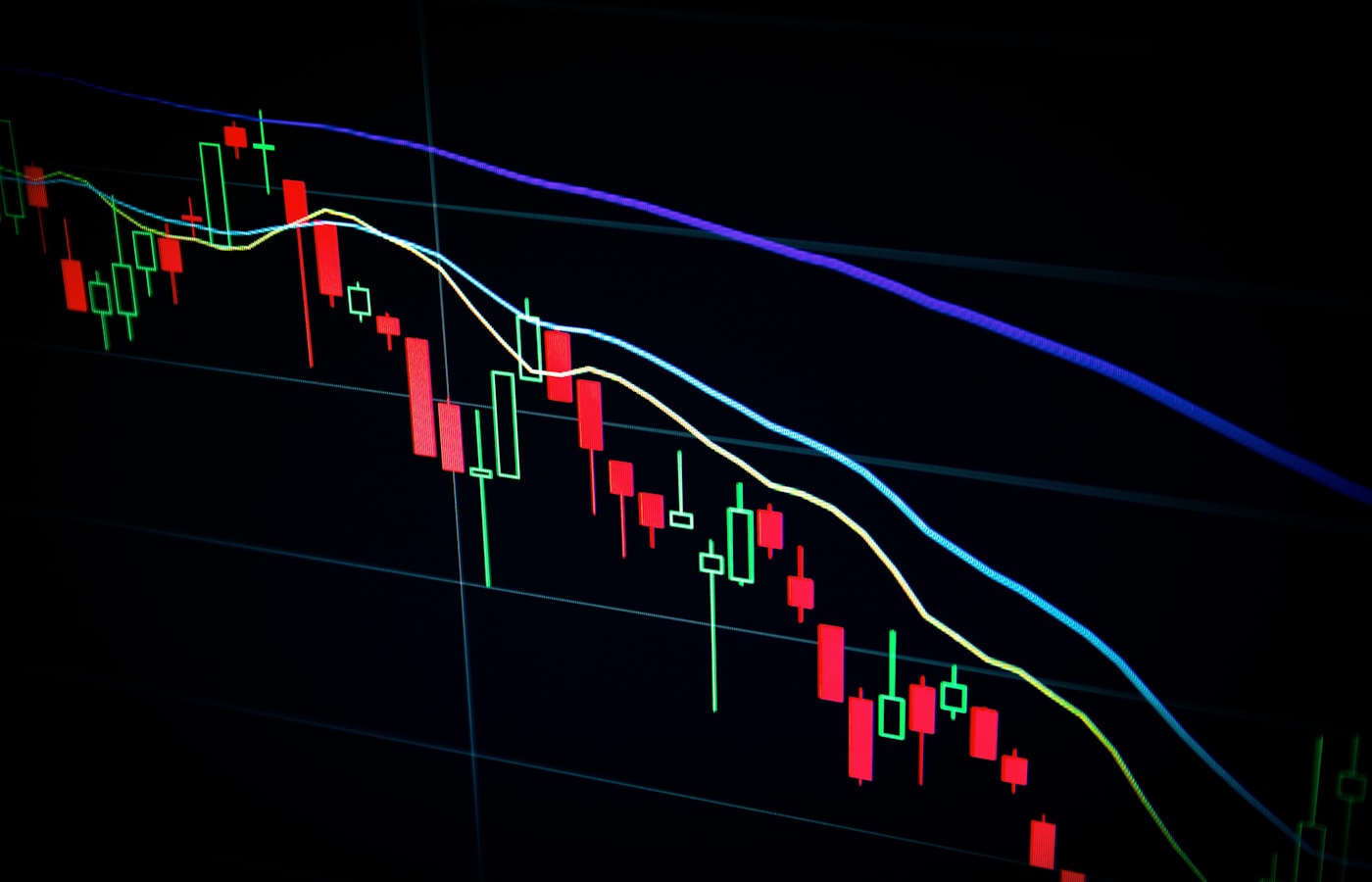 Investment & Due Diligence